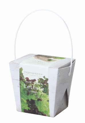 ベジコンテナ レタス 栽培キット ロフト