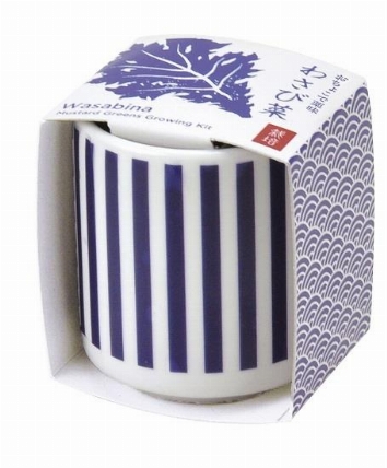 おちょこで薬味栽培セット わさび菜 Gd 0 03 ロフト