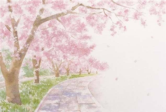 春ポストカード 桜並木と石畳 ロフト