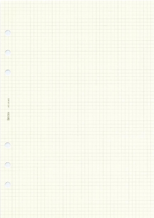 A5リフィル 方眼メモ 100入 Bindex バインデックス ロフト