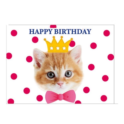 バースデーメロディーカード 写真 猫 ロフト