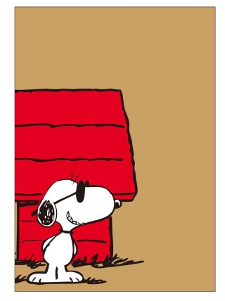 ノート スヌーピー ジョークール A5 ロフト