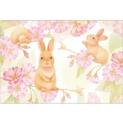 春柄 小動物と桜ポストカード うさぎ ロフト