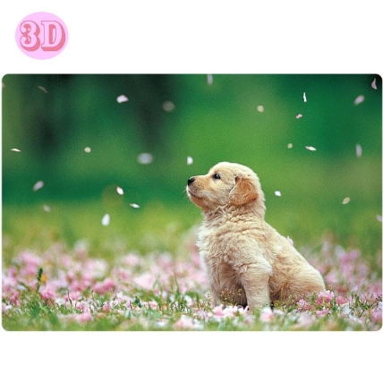 春柄 イヌ3dポストカード ゴールデンレトリバー ロフト 春柄 イヌ3dポストカード ゴールデンレトリバー ロフト