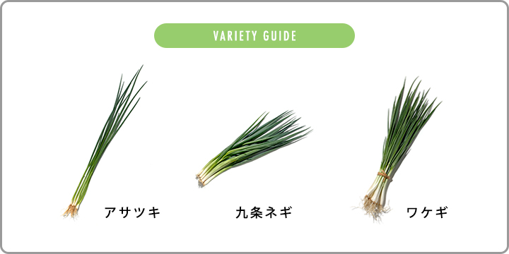コトキジ Kotokiji 株式会社ロフト
