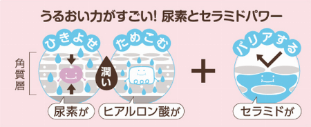 img_item_kotokiji_sub_01
