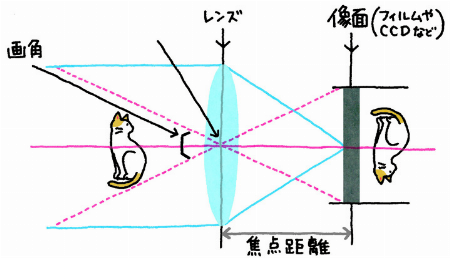 img_item_kotokiji_sub_01