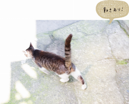 img_item_kotokiji_sub_01